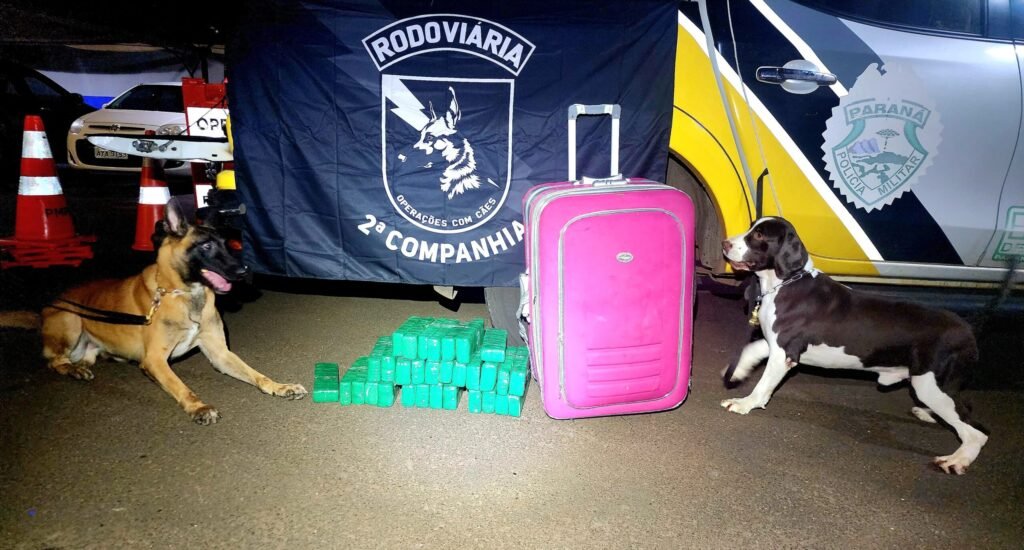 0b4eec7a-07a1-460a-954f-beab1757001a