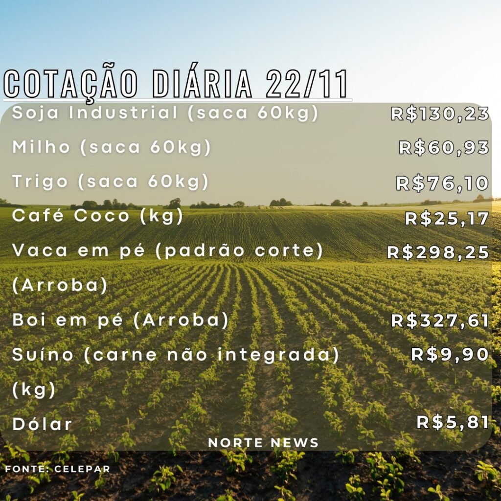 WhatsApp Image 2024-11-22 at 14.10.31