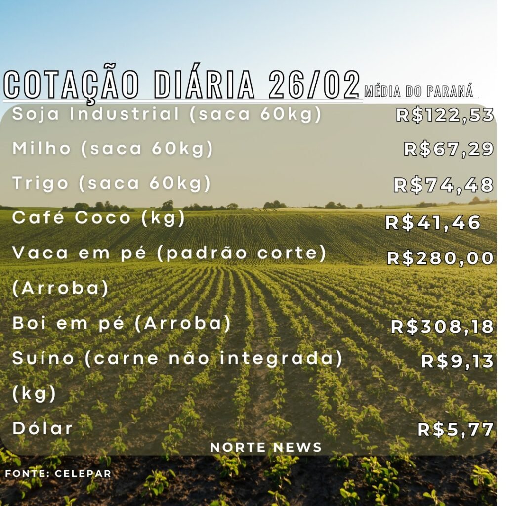 WhatsApp Image 2025-02-26 at 12.45.55