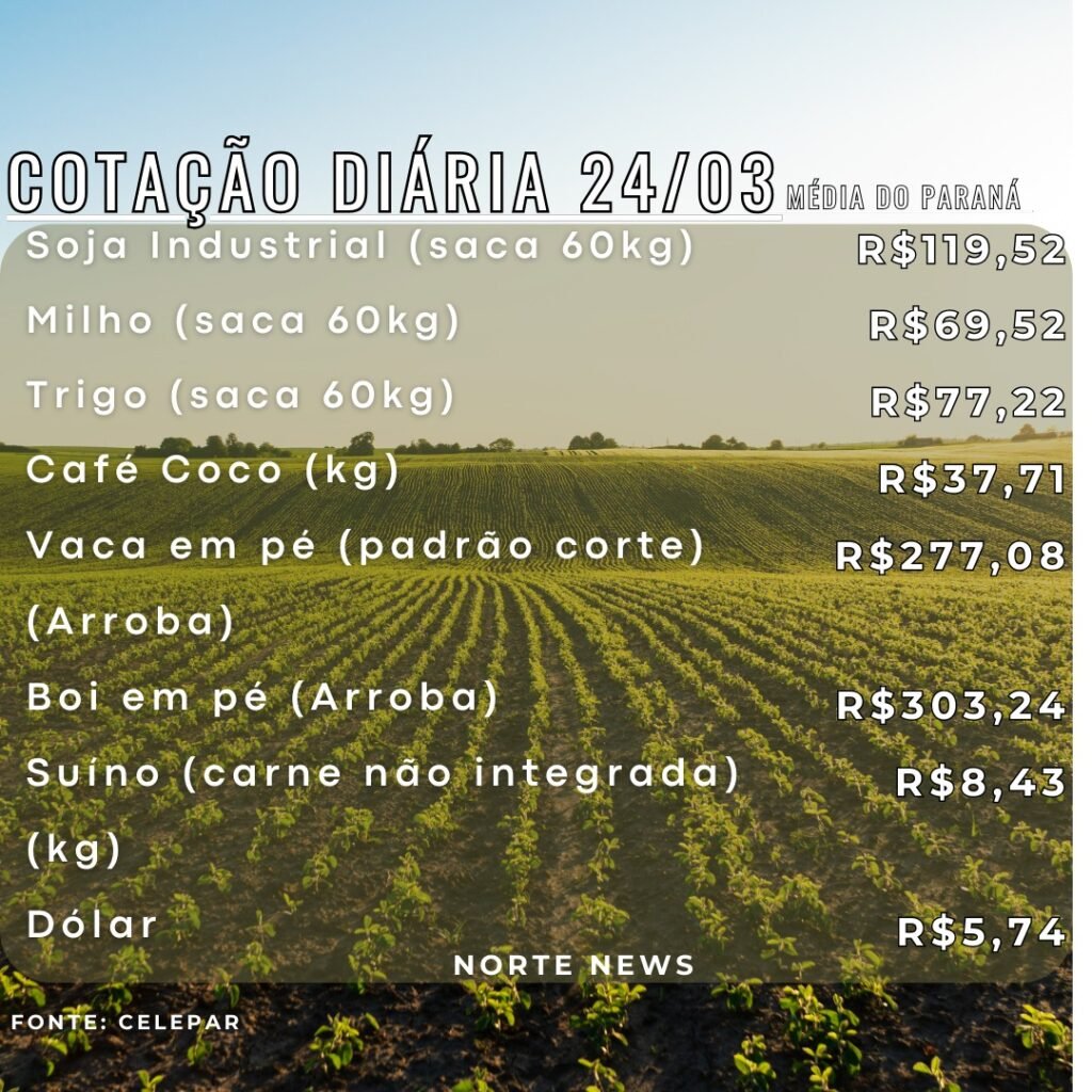 WhatsApp Image 2025-03-24 at 12.03.45