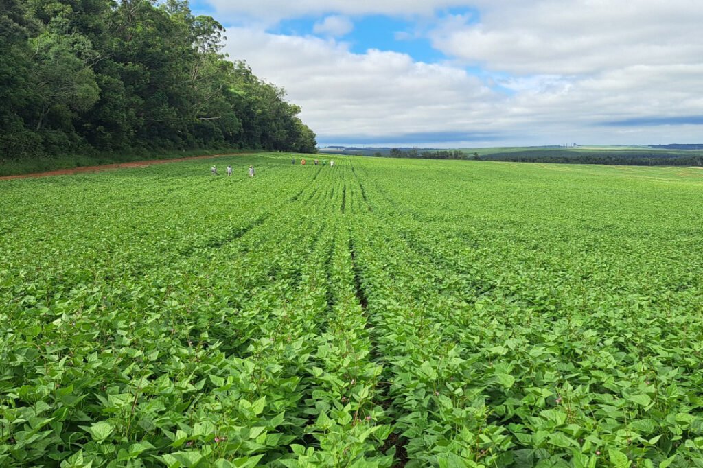 whatsapp_image_2025-03-24_at_11.58.11