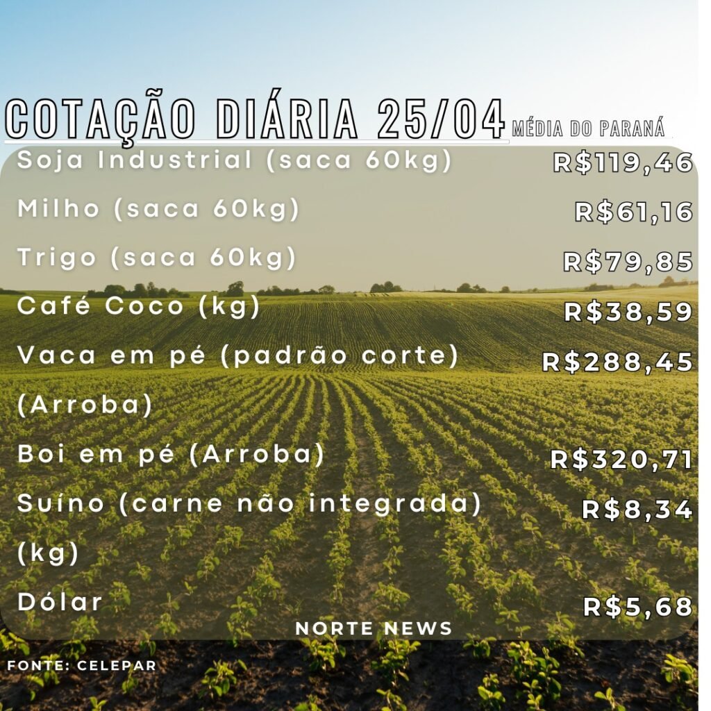 WhatsApp Image 2025-04-25 at 11.59.47 (1)