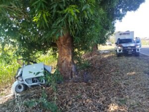 9cccb354-846c-498b-adf8-7734eaf2339f