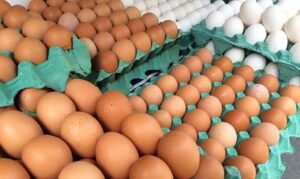 b319b5d8-e89e-47e2-9396-be30352e6ce7