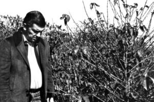 whatsapp_image_2025-07-18_at_08.31.35