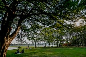 Curitiba-01-10-2020 - Calor em Curitiba - Parque Barigui